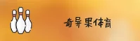 使用指南与常见问题